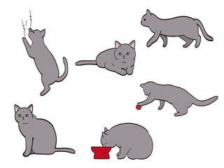 猫　色々なポーズ　セット　ロシアンブルー