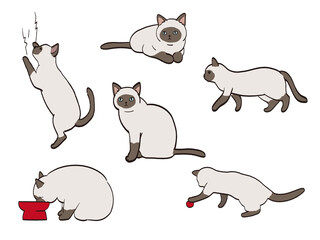 猫　色々なポーズ　セット　シャム猫
