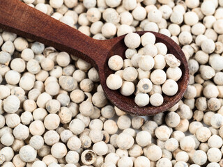 spoon on pile of white pepper peppercorns closeup