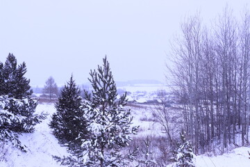 village in winter