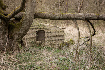 Verfallenes Geb&auml;ude im Wald