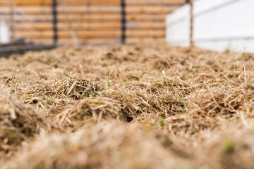 The technology of mulching the soil of the beds. Preventing the growth of weeds and preserving the land before planting plants