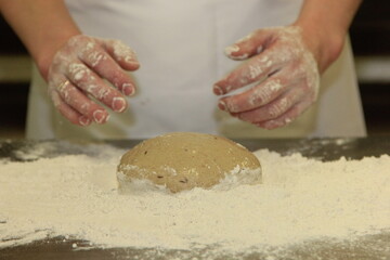 Woman's hands kneading the bread dough. Making dough by female hands on wooden table