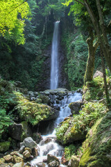 waterfall in the forest