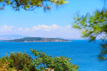 Natural landscape of the rocky coast of the Black Sea in Turkey