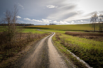 Fototapeta na wymiar Dirt road between the fields in landscape