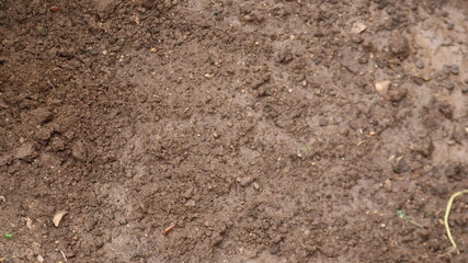 Smooth sand background, Top view of Sandy beach for texture. Close-up of sand pattern of a beach in the summer