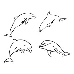 Dolphin Line Art Doodle, a hand drawn vector cartoon illustration of a cute dolphin.