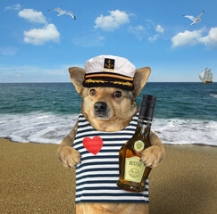 A beige dog captain in a sailor hat with a bottle of rum by the sea.