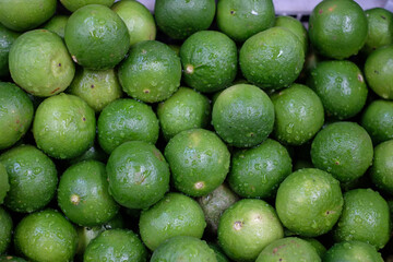 Seasonal vegetables sold in fresh markets in northern Thailand.