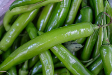 Seasonal vegetables sold in fresh markets in northern Thailand.
