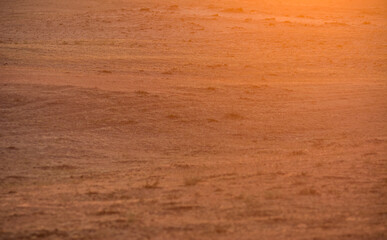 pattern of field in lights of sunset sunrise