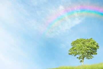 Plakat 虹のかかった青空と一本の木