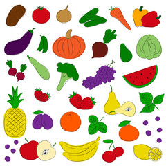Set of hand drawn fruit and vegetables. Isolated vector illustartion on white background