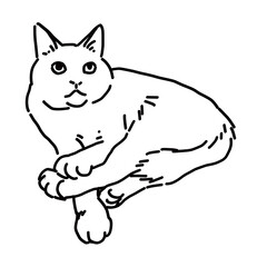 猫の線画全身イラスト