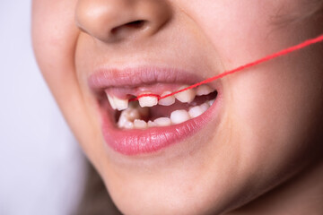 Fototapeta premium Little girl pulling her loose tooth.