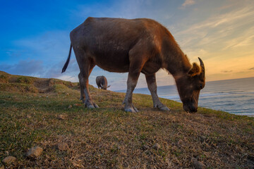 magnificent view from Merese Hill at Mandalika Beach in Lombok, West Nusa Tenggara, Indonesia. 