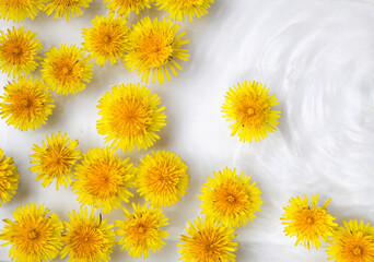 Summer and spring scene with dandelions in the water. Minimal nature background. Dandelion background