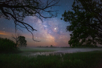 Starry night landscape