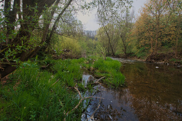 Sunny spring landscape. Trees at riverbank. At the River Enz in Oberriexingen, South Germany