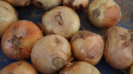 Unpeeled raw whole onions background at the vegetable market in Turkey