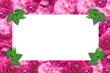 Marco de rosas y hojas verdes para tarjetas de regalos, día de las madres, bodas, día de la mujer, 8 de marzo, cumpleaños, invitaciones 