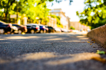 Summer in the city, the empty street with trees and leaves in a park. Close up view from the curb...