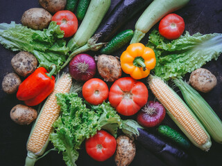 Mix of vegetables and herbs on a dark background, Harvest, Top view, Selective focus