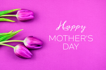 Happy Mother's Day greeting card with purple tulips stock images. Mother's Day Poster with purple tulips flowers stock images. Important day