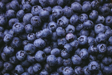 Blueberry close-up, Atmospheric photography on a dark background, Selective focus