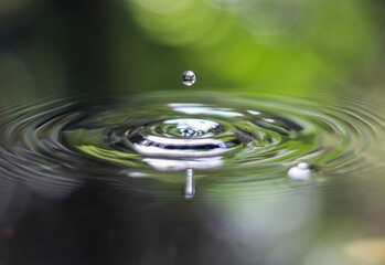 Drop of water, splash, Water is life, rain  - obrazy, fototapety, plakaty