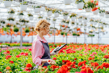Blond curly woman in uniform holding pot with geranium filling order of flowers in greenhouse with digital tablet.