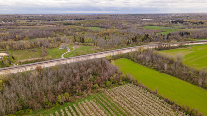 Aerial Top-Down View of an Apple Orchard with Neatly Arranged Trees