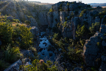 Flowing river through a gorge with a beautiful sunset surrounded by a green lush bush