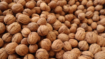 Natural Walnuts with shell background pattern texture. Background of fresh walnuts in shell. Lots of Walnuts with shell at the market in Istanbul