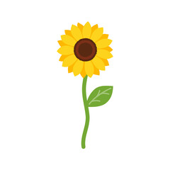 Vector yellow sunflower. Sunflower silhouette text frame Isolated on white background.