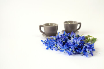 Obraz na płótnie Canvas A bouquet of delicate blue spring flowers on the background of two gray coffee cups, white background, space for text