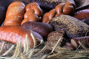Still life with different types of bread: black, rye, white bread, bread with seeds. bread and wheat ears. 