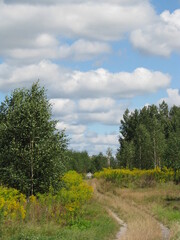 The road in the forest between green trees against the backdrop of the sky with clouds 
