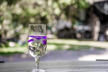 wine glasses