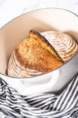 Wheat Sourdough Bread