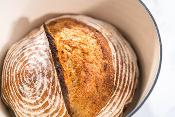 Wheat Sourdough Bread