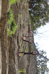 Carabiner beim Klettern in Ligurien, Italien