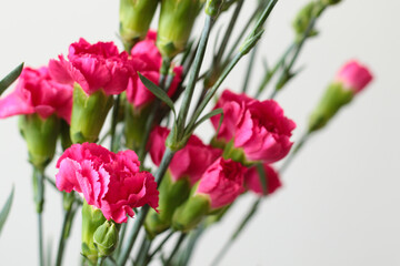 bouquet of bright pink carnation flowers