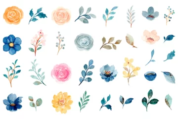 Schilderijen op glas Geschilderde Bloemen Watercolor flower and leaves element collection  © Asrulaqroni