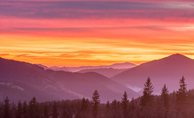 Naklejka na ściany i meble magenta sunset sunrise in Carpathian mountains