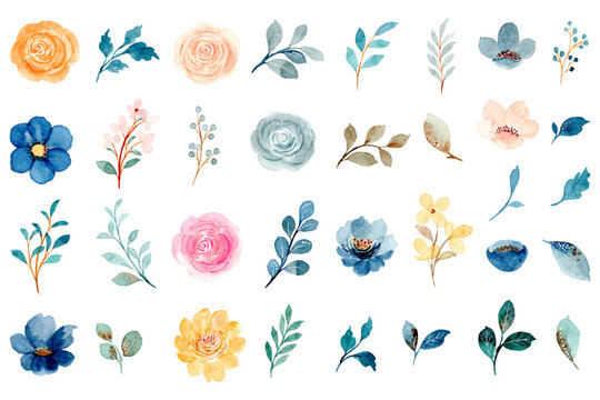 Naklejki Watercolor flower and leaves element collection
