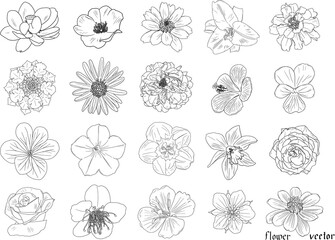繊細な花の白黒の線画20個セット2　ベクター素材