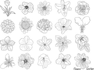 繊細な花の白黒の線画20個セット3　ベクター素材