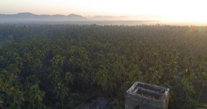 Arial View Of Sea Face Coastal Area Coconut Trees Late Evening Village In India 